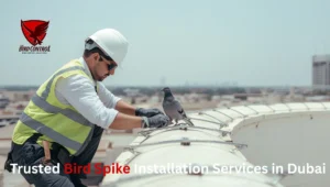 Read more about the article Bird Spikes in Dubai – Keep Your Property Pigeon-Free