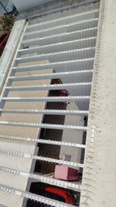 Read more about the article Bird Spikes in Dubai – Keep Your Property Pigeon-Free