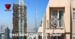Read more about the article Bird Control in Dubai – Professional Solutions by Bird Control Dubai