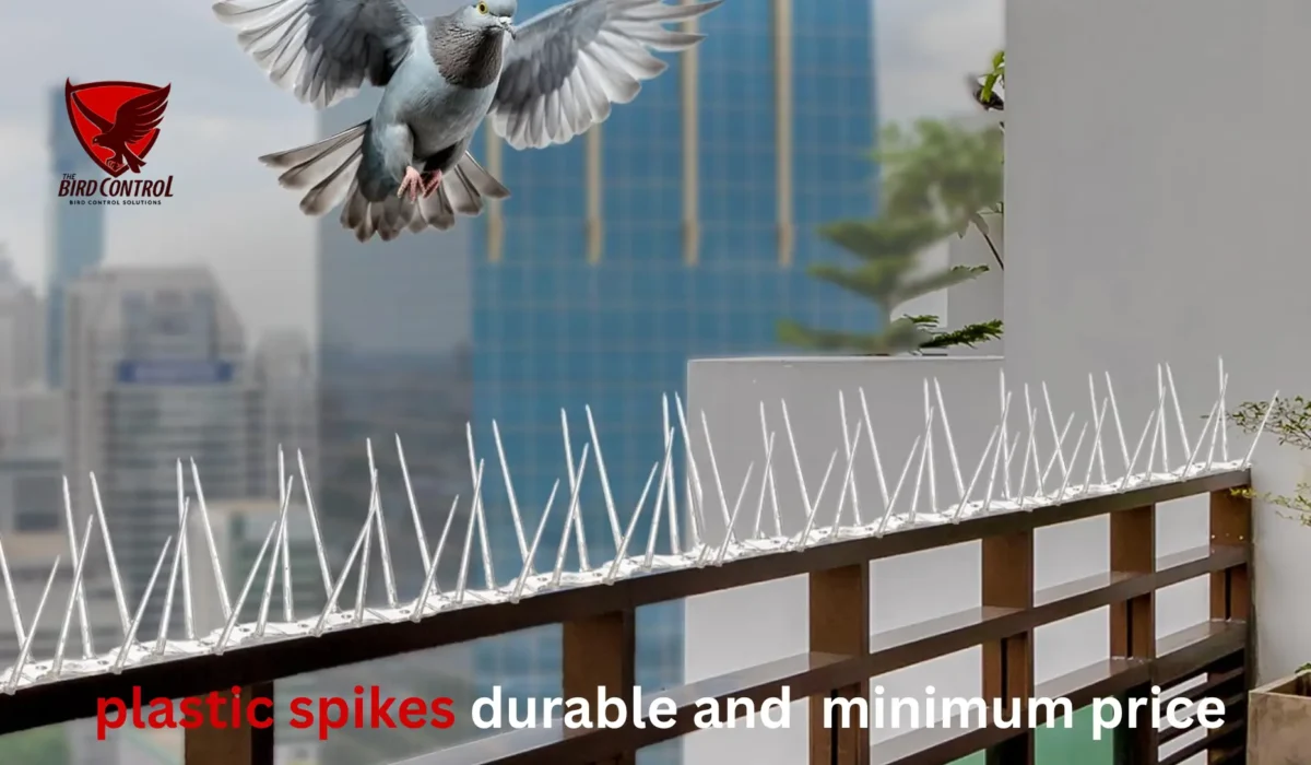 Plastic Bird Spikes in Dubai – Affordable & Effective Pigeon Control