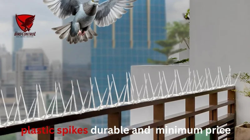 Plastic Bird Spikes in Dubai – Affordable & Effective Pigeon Control
