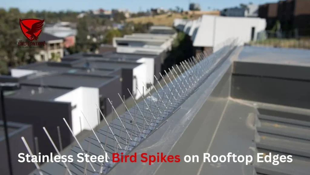 stainless steel bird spikes
