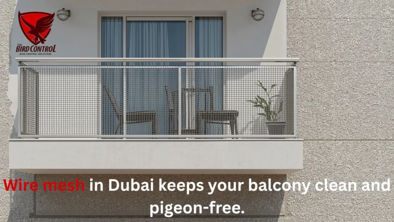 Wire Mesh in Dubai – A Lasting Solution for Bird Problems