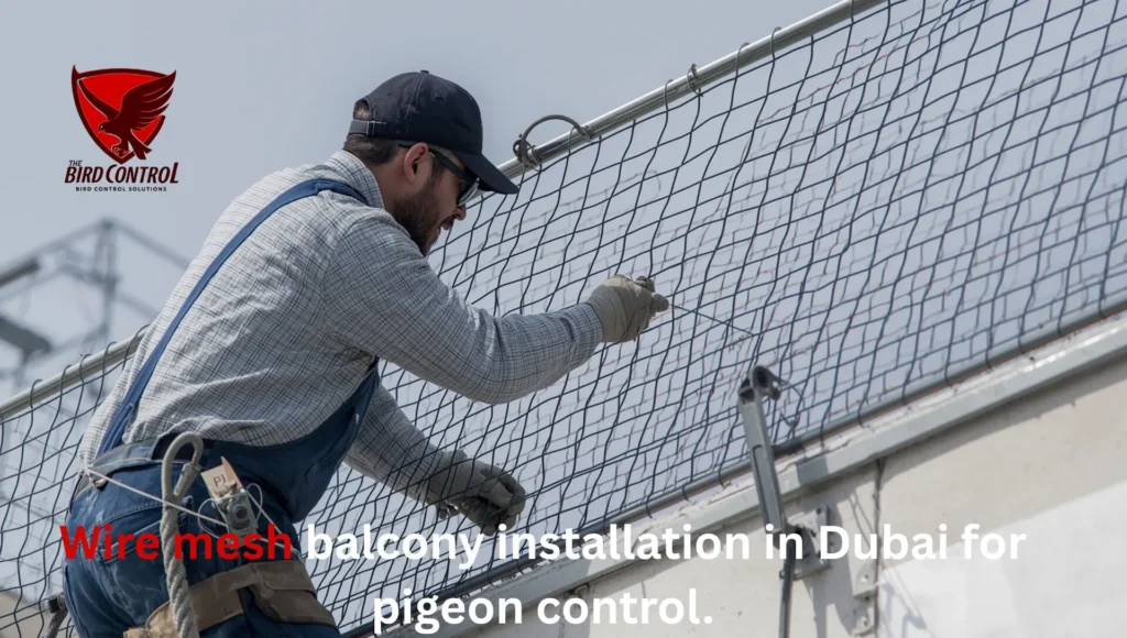 Technician installing wire mesh in Dubai for bird control