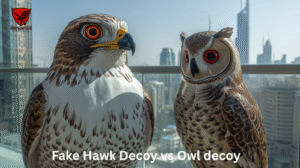 Read more about the article Bird Decoy – Which Decoy Is Best? Hawk vs. Owl? (Complete Guide for Dubai Homes)