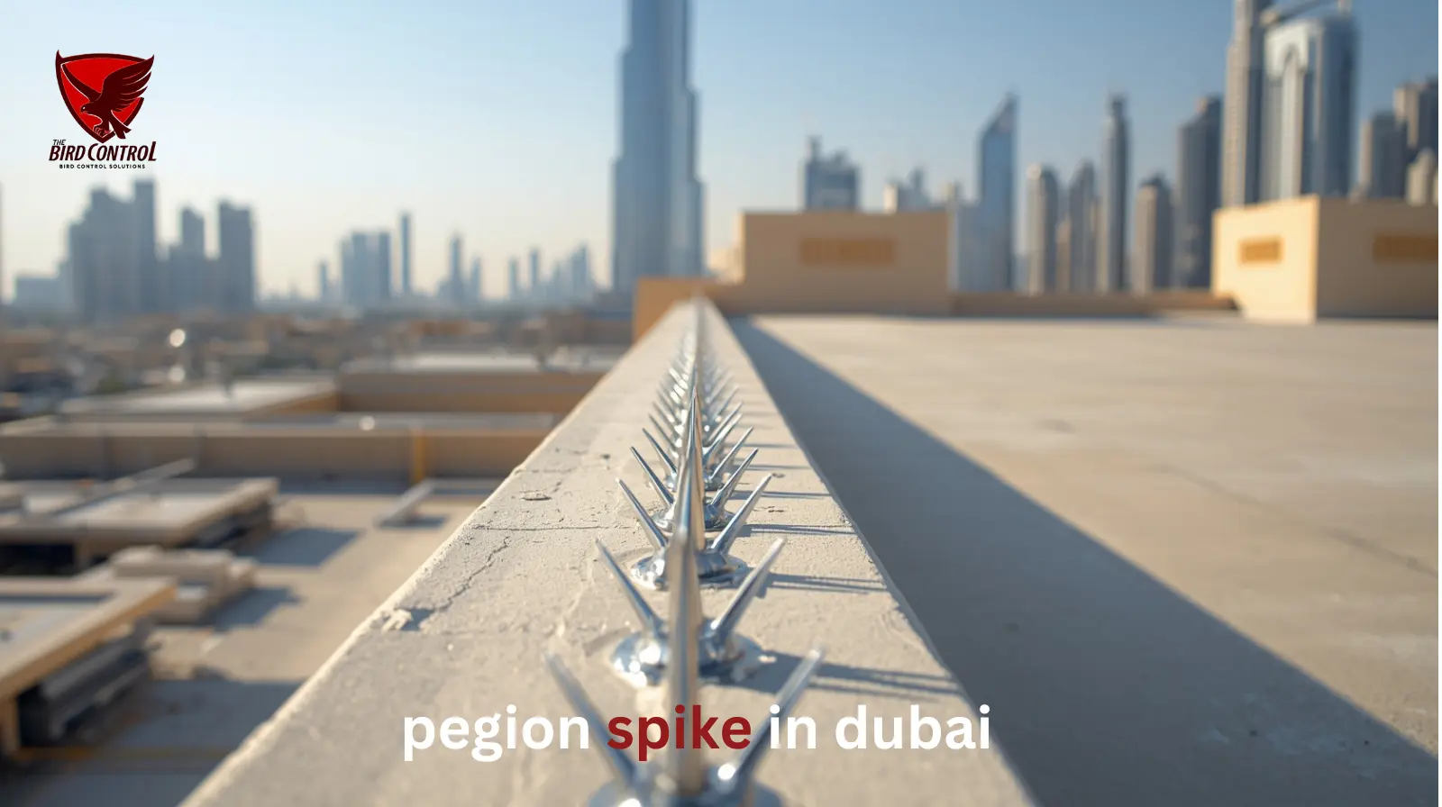 You are currently viewing Pigeon Spikes in Dubai: The Ultimate Solution for Bird Control