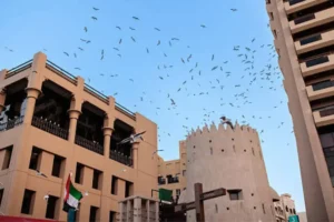 Read more about the article الدليل الشامل في مكافحة الحمام: طرق طرد الطيور والوقاية النهائية