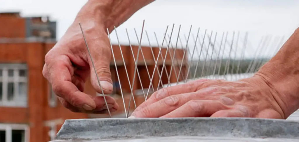 سبايك حمامة