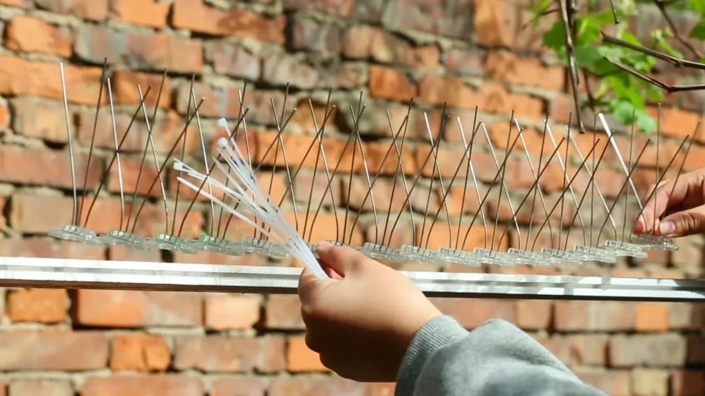 how to install bird spike