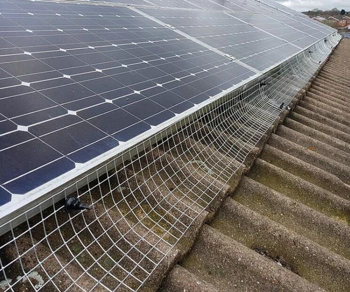 Bird Mesh for Solar Panels in Dubai: The Complete Protection Guide 3 solar panel mesh