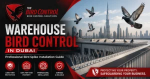Read more about the article Bird Spikes for Warehouses: Complete Commercial Installation Guide