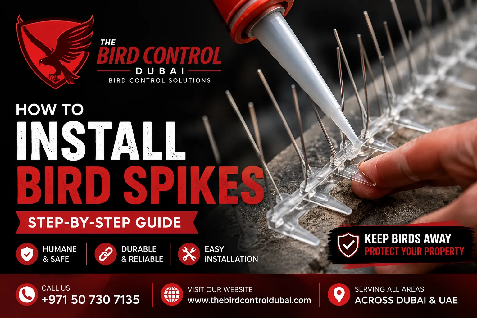 You are currently viewing How to Install Bird Spikes: Professional Installation Guide for Dubai