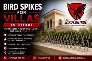 Read more about the article Bird Spikes for Villas in Dubai — Permanent Pigeon Protection for Your Property