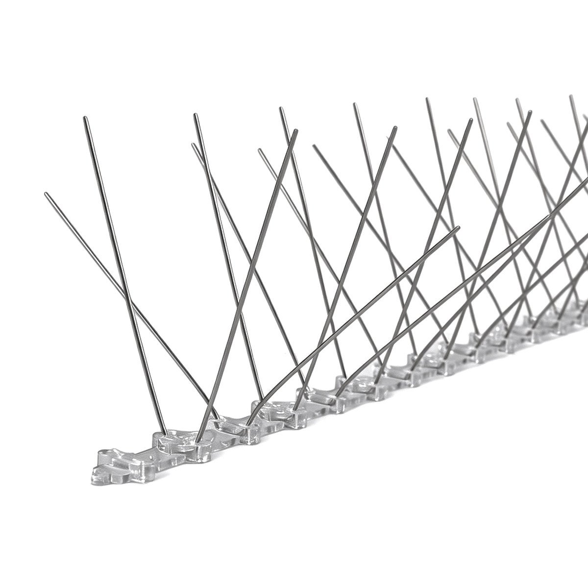 Close-up of stainless steel bird spike points