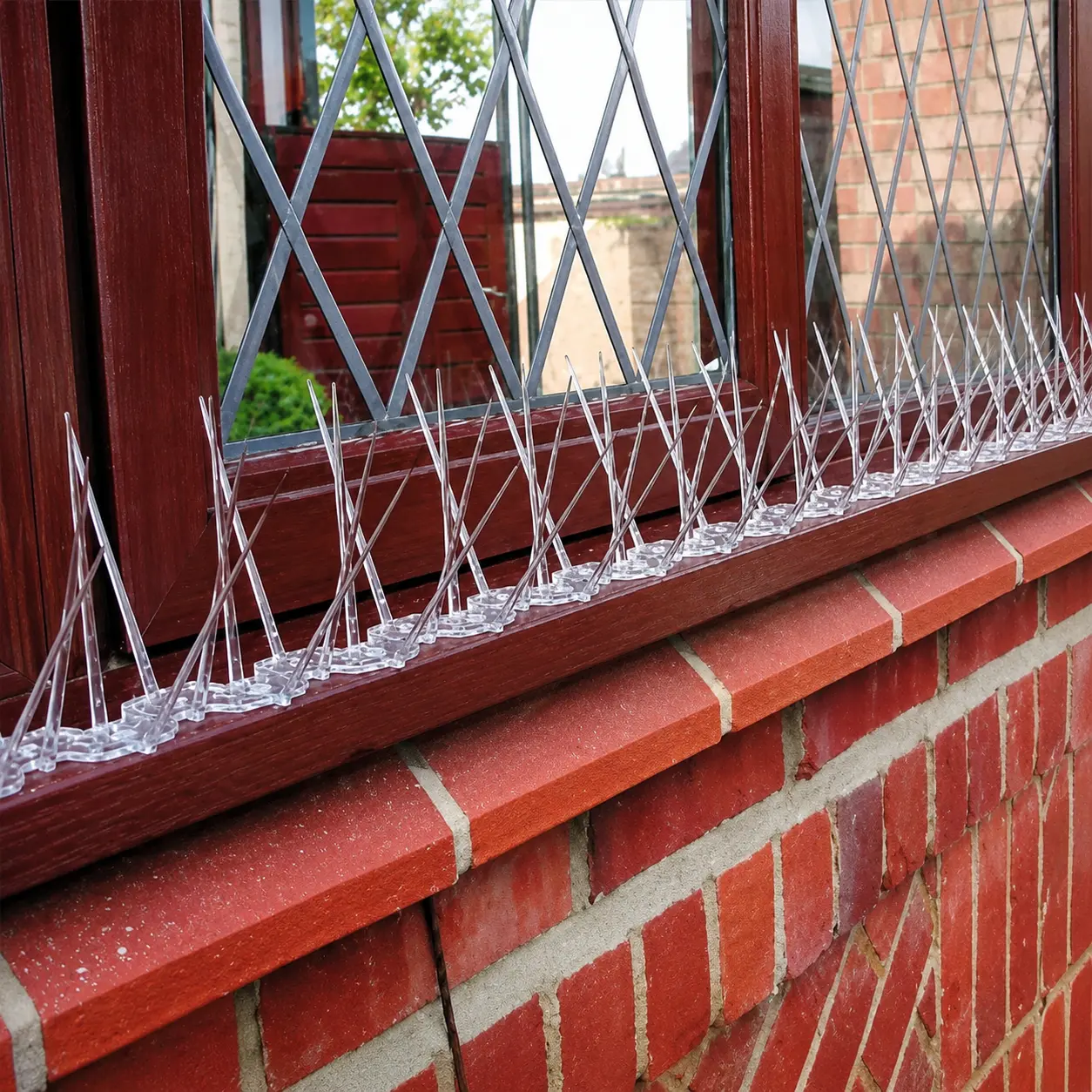 Anti-bird spikes installed on a ledge in Dubai to stop pigeons landing