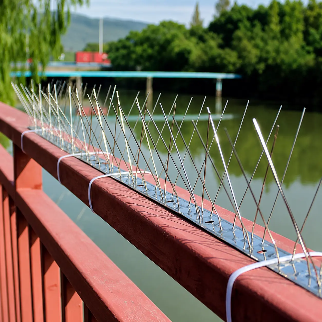 Stainless steel anti-bird spikes strip for rooftops and ledges in Dubai