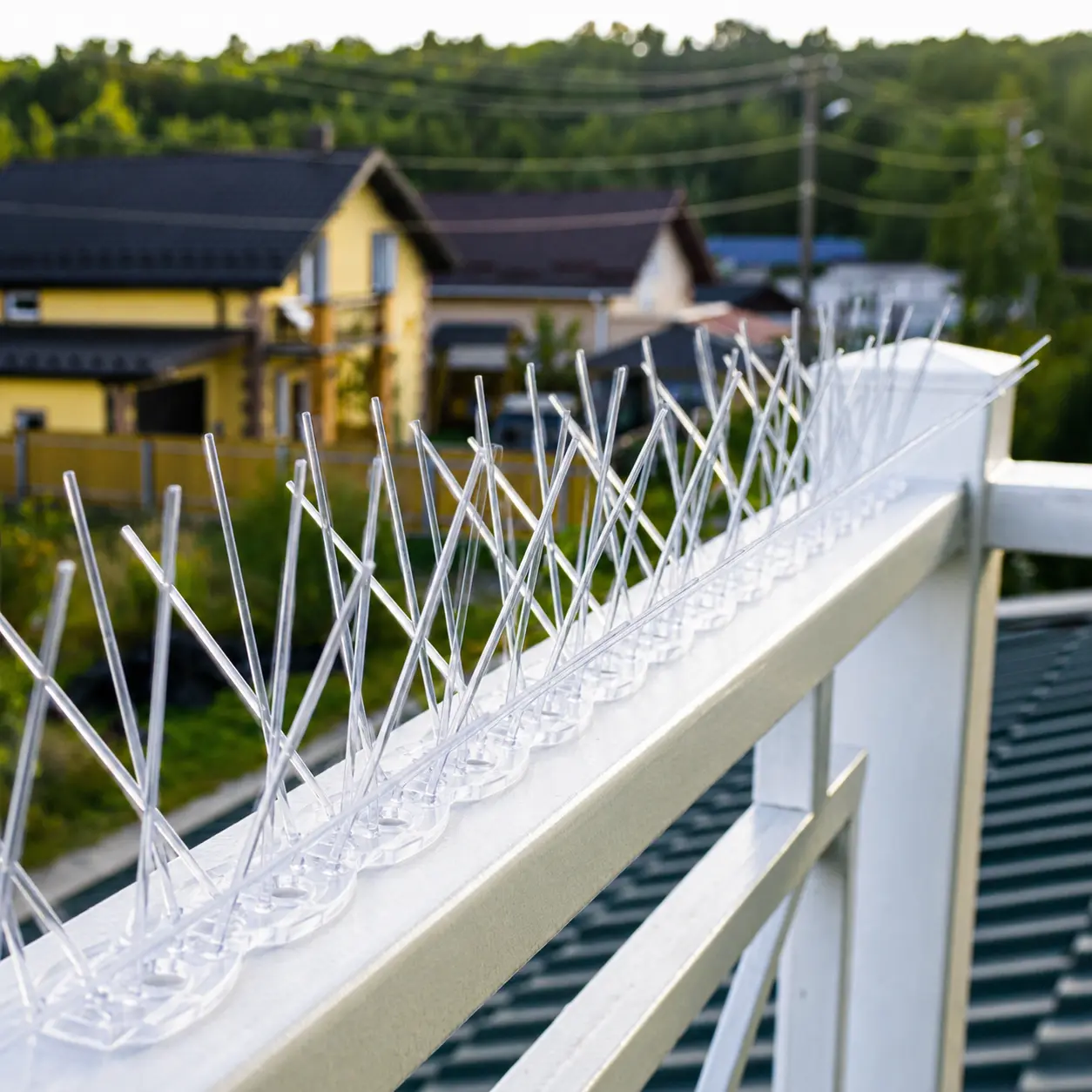 Polycarbonate anti-bird spikes strip installed on a balcony ledge in Dubai
