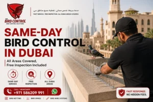 Read more about the article Same-Day Bird Control in Dubai | Free Inspection, All Areas | The Bird Control Dubai