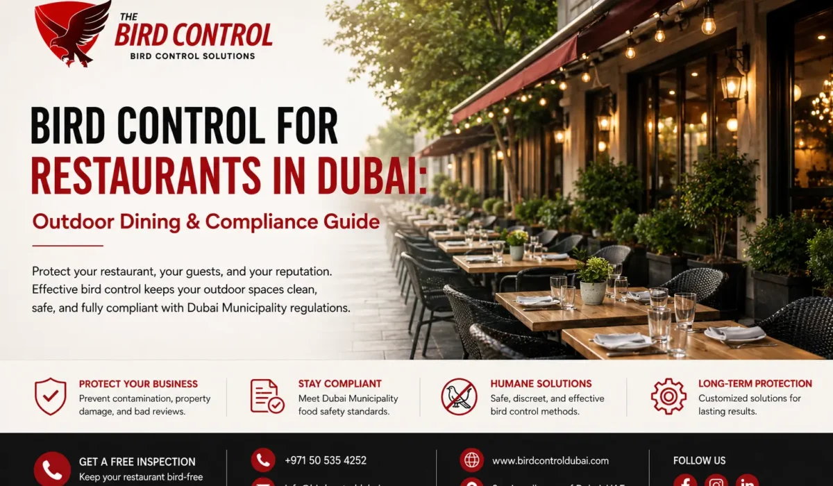 Bird Control for Restaurants in Dubai