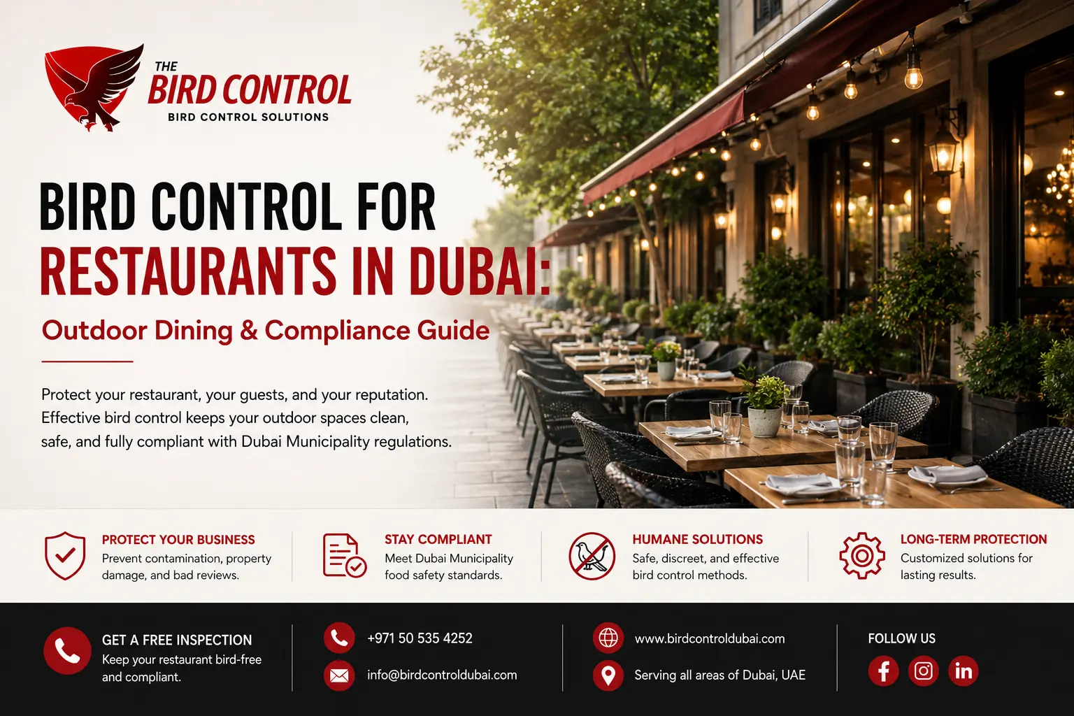 You are currently viewing Bird Control for Restaurants in Dubai