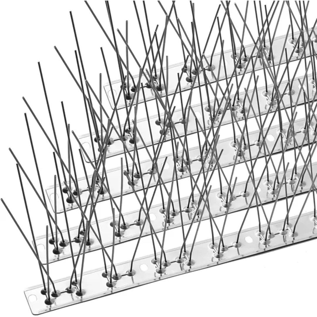 Stainless steel bird spike strip close-up