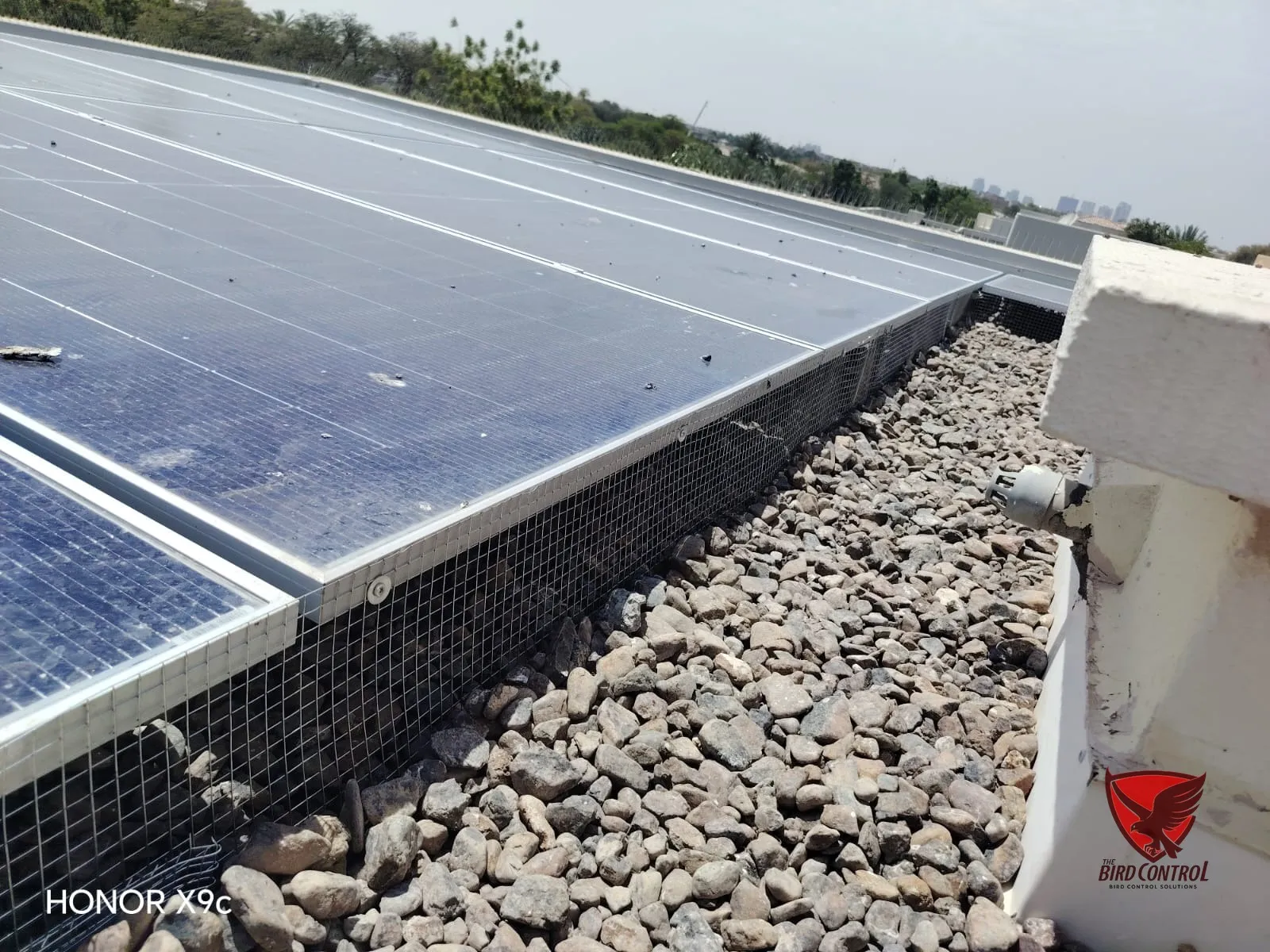 Stainless steel mesh netting protecting solar panel edges from birds