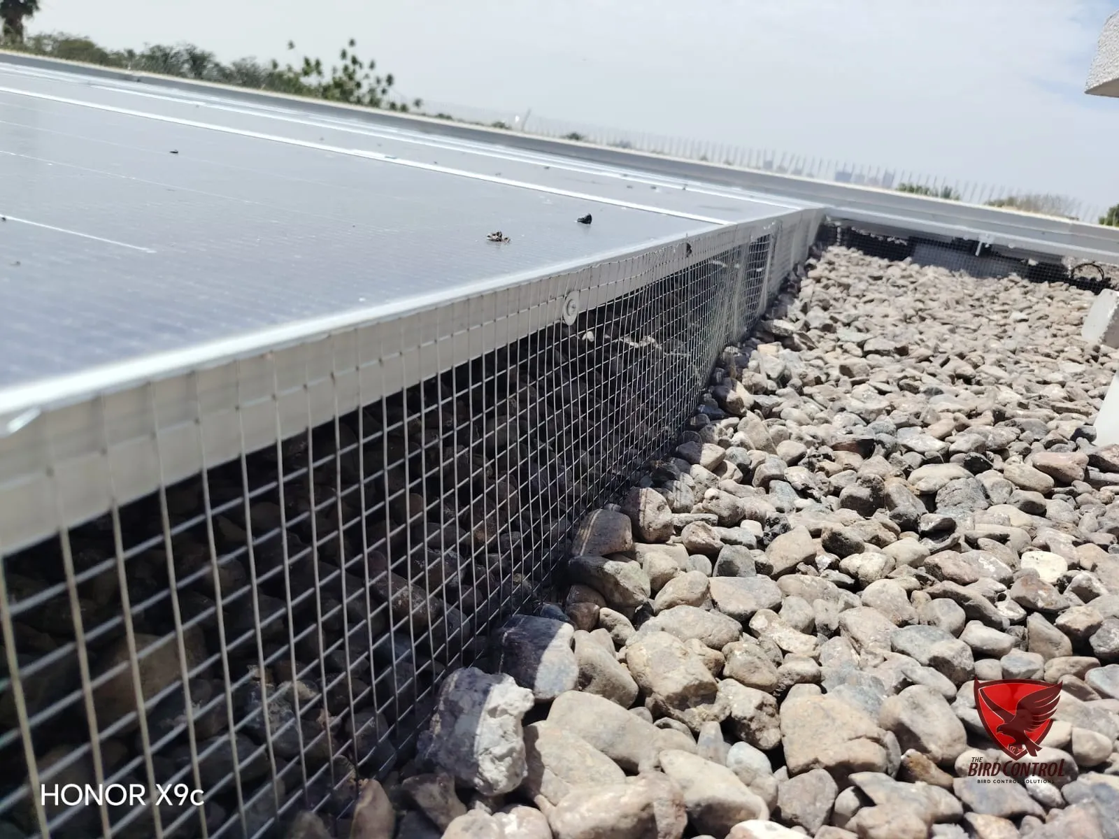 Wire mesh installed along solar panel row to prevent bird nesting