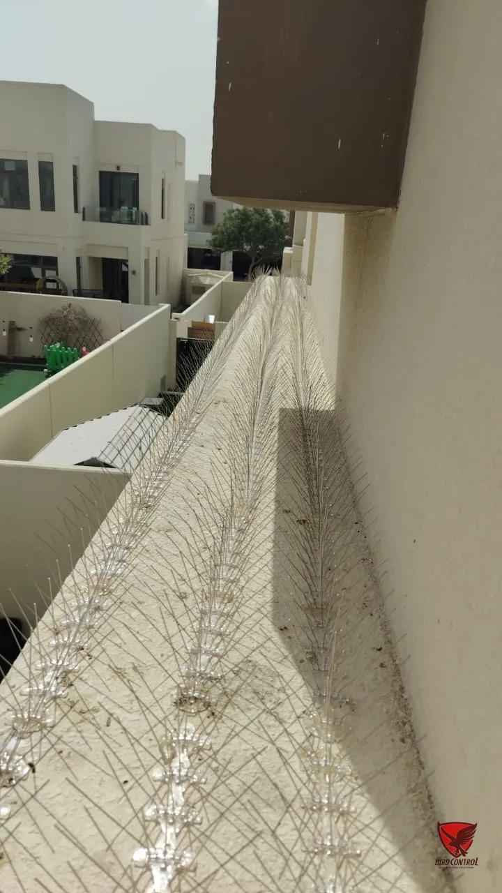 Continuous bird spike strip along villa balcony parapet wall