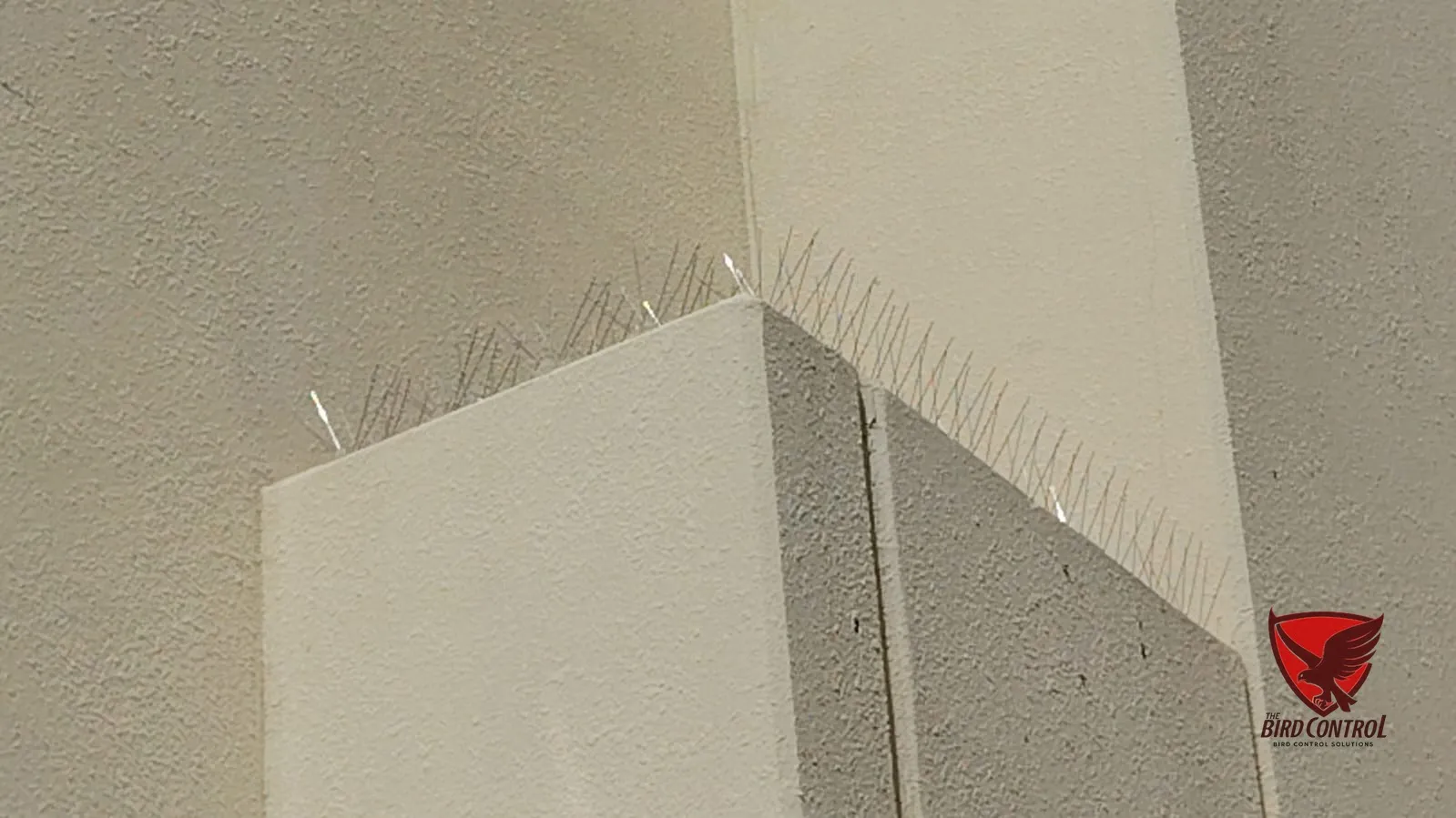 Close-up of bird spikes fitted along a rooftop parapet corner