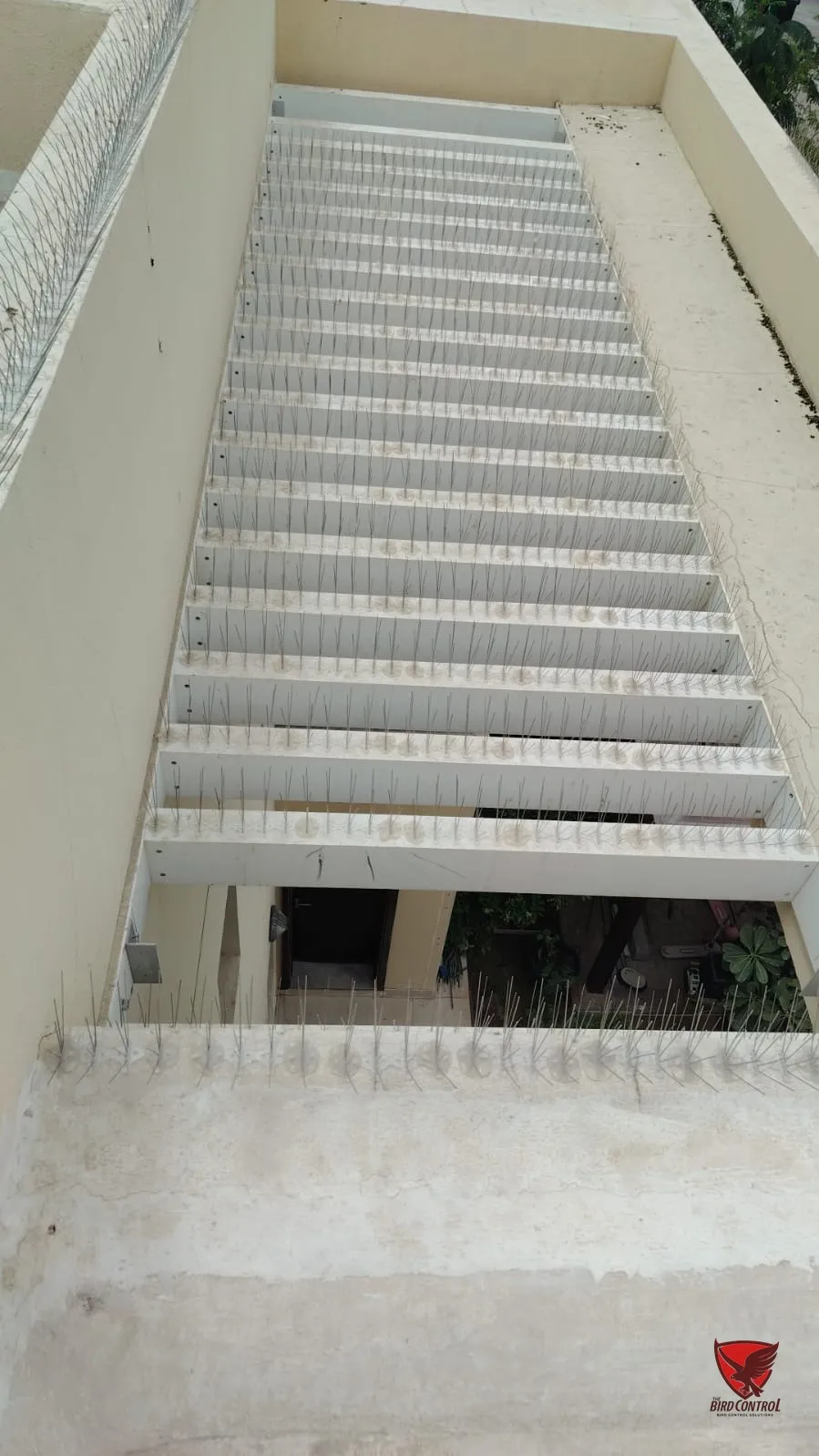 Rows of bird spikes covering a pergola beam structure over a courtyard