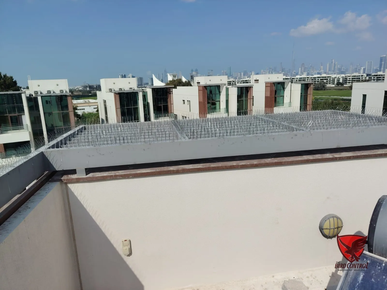 Bird spike strips along rooftop ledge with Dubai skyline in background