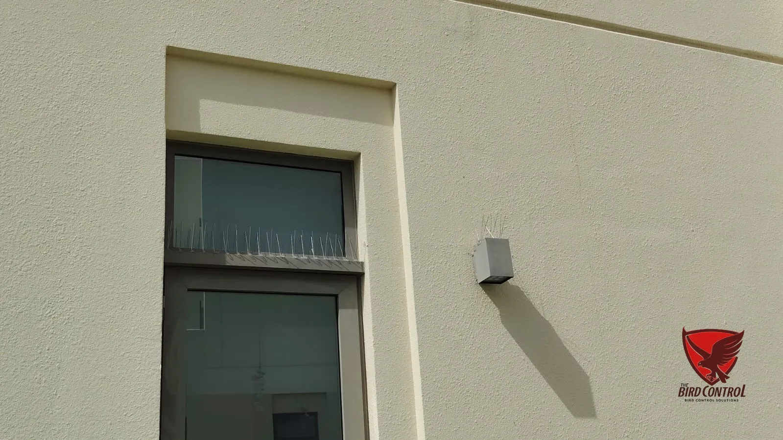 Bird spikes installed above villa window ledge and on wall junction box