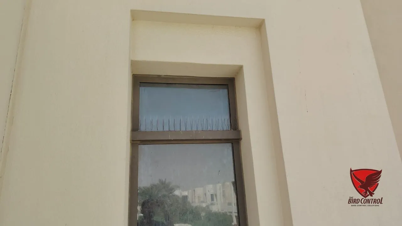 Bird spikes fitted along villa window ledge to prevent bird landing