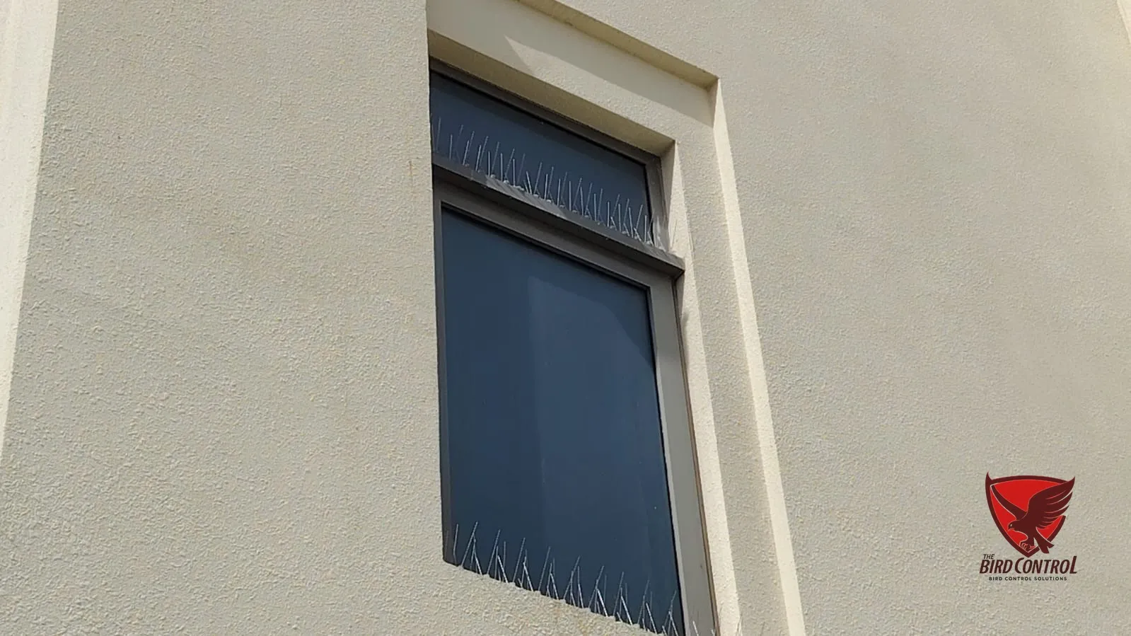 Bird spikes fitted on both top and bottom of window frame